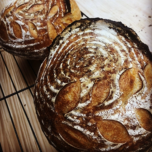 A loaf of sourdough bread fresh from the oven